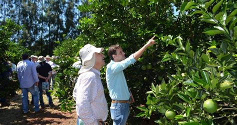 Inscri Es Para O Dia De Campo De Cancro C Trico Encerram Em De