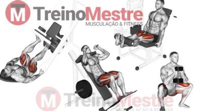 Divis O De Treino De Pernas E Gl Teos Completo Melhores Exerc Cios