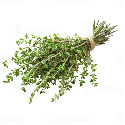 Thyme Bundle For Cooking On White Background 52647783 Png