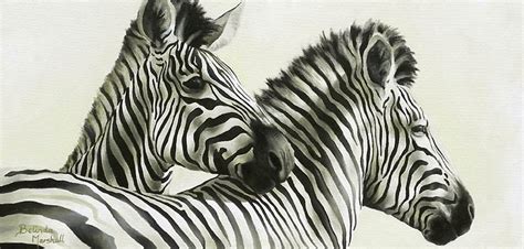 Animal Artwork - Belinda Marshall Art