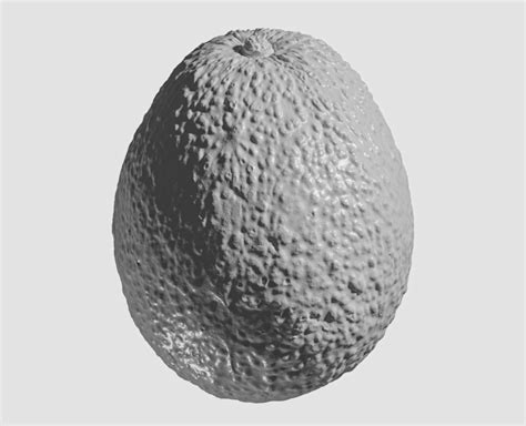 Avocado Ultra Realistic D Scanned Flippednormals