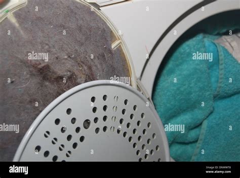 Lint Filter In Door Of Tumble Drier Stock Photo Alamy