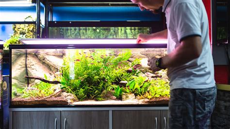 Aquarium Reinigen Aquaristik Blog Mit Vielen Infos Rund Um Das