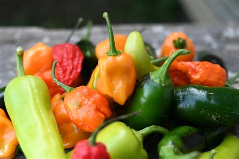 The Difference Between Habanero And Scotch Bonnet Peppers Lilianas