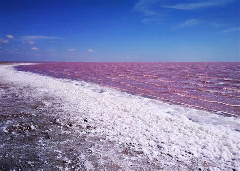 Лемурийское розовое озеро (49 фото) - 49 фото