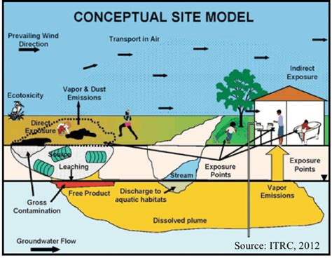 Conceptual Model Illustrating Contaminant Pathways From Source To Human