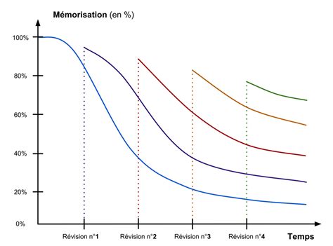 La Courbe De L Oubli Un Concept Retenir En Formation