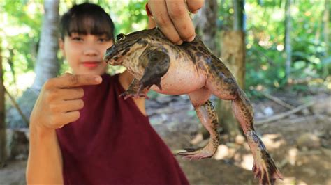 Yummy Cooking Frog Recipe Cooking Skill Youtube