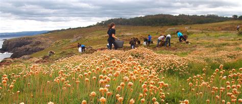 CEIDA Centro de Extensión Universitaria e Divulgación Ambiental de