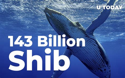 This Whale Buys 143 Billion Shiba While Already Holding MATIC And LINK