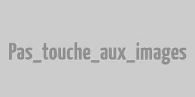 Objectif 11 Villes et communautés durables avec Grenoble