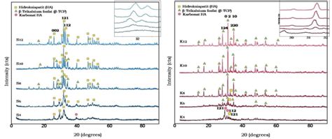 Xrd Ha Patterns Derived From A Snail Shells Has With Sintering