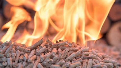Biomass Fire