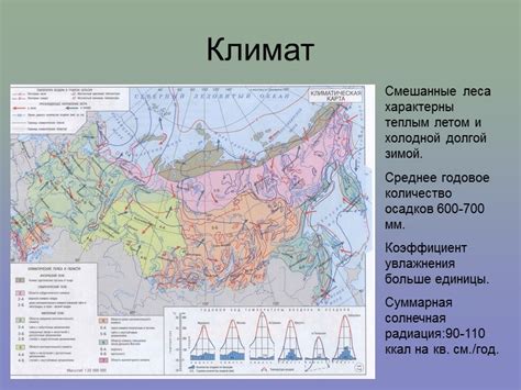 Зона смешанных лесов Физико-географическое положение В России смешанные