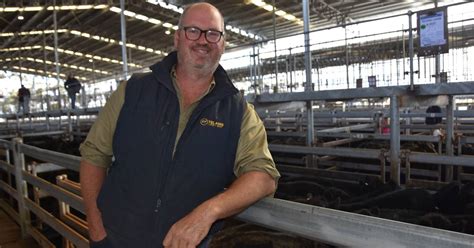 Mortlakes Special Spring Drop Weaner Sale Sees Steady Prices For