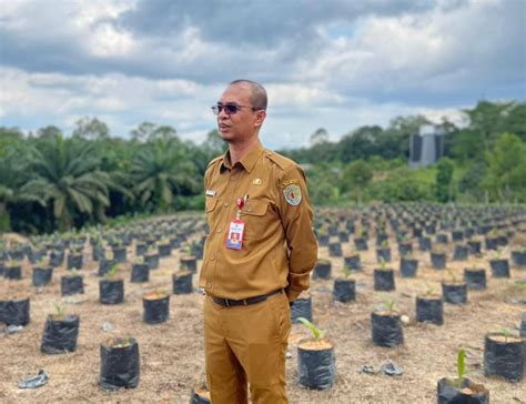 Komitmen Disbun Kaltim Siapkan Ribu Benih Unggul Ritmee Kaltim