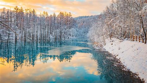 冬の北海道観光を最高に楽しむ！おすすめの絶景スポットと注目イベント 旅先で特別な結婚写真が残せるフォトジェニックジャーニー By