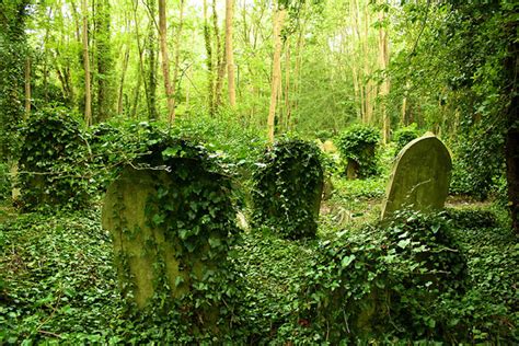 Secrets Of Highgate Cemetery Londonist