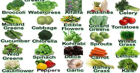 20 Alkaline Foods To Eat Everyday