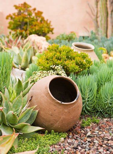 Enviable Desert Landscaping Ideas Hunker