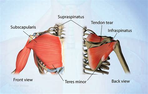 Health Condition Symptoms Causes Treatment And More