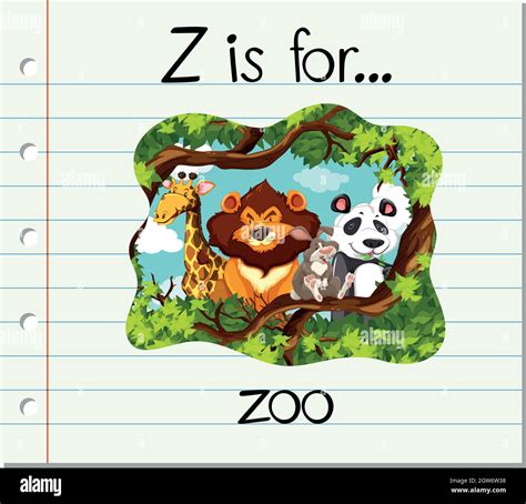 Flashcard Letter Z Is For Zoo Stock Vector Image And Art Alamy