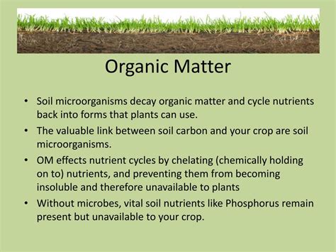 Ppt Soil Health And Fertility Powerpoint Presentation Free Download