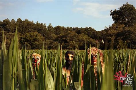 Looking for a Scary Corn Maze? 13 Best Haunted Corn Mazes in the USA