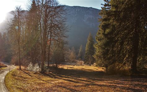 Sfondi Luce Del Sole Alberi Paesaggio Foresta Montagne Collina