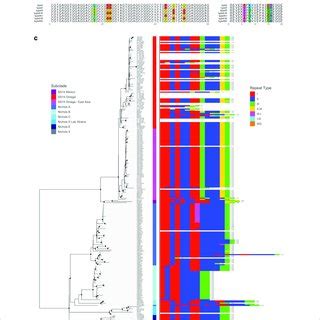 arp repeat type usage. (A) Nucleotide sequence of the arp repeat module... | Download Scientific ...