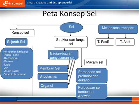 Peta Konsep Sel 53 Koleksi Gambar