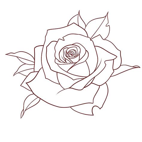 Pin By Carmen On Drawing Ideas Rose Outline Drawing Tattoo Stencil