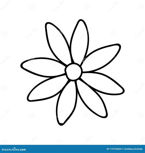 Daisy, Camomile Doodle Illustration.Black and White Image.Contour Drawing.Flower Image.Isolated ...