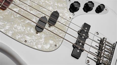 The 13 bass player types: a spotter's guide | MusicRadar