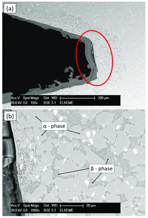 A Bse Sem Micrograph Showing The Dezincification Area Of A Brass