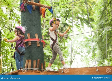 Le Parcours Du Combattant En Parc D Aventure Photo Stock Image Du