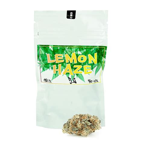 Susz Konopny CBD LEMON HAZE 7 10 G 12233826827 Allegro Pl