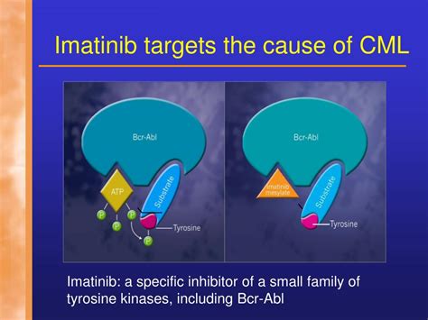 Ppt Resistance To Imatinib In Chronic Myelogenous Leukemia Cml