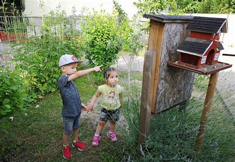 Was Kitas gegen das Insektensterben tun können ein Interview