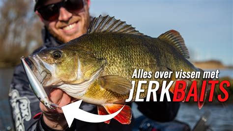 Baars Snoekbaars En Snoek Vissen Met Jerkbaits Chris Chew