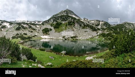 Pirin National Park, Pirin mountains, Bulgaria Stock Photo - Alamy