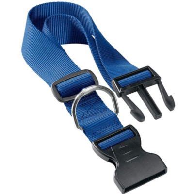 Collar Nylon Perro Ferplast Club C20x56 Azul FERPLAST Falabella