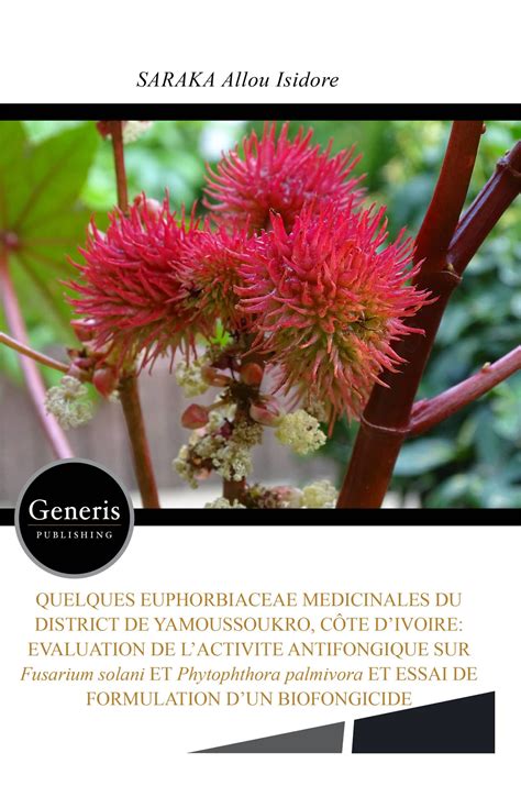 Quelques Euphorbiaceae Medicinales Du District De Yamoussoukro C Te D