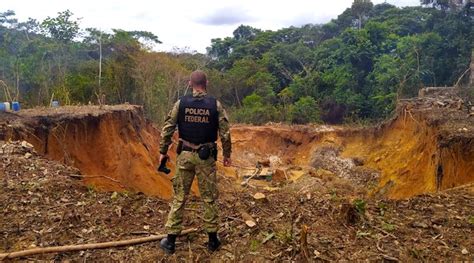 Desmatamento zero na Terra Indígena Yanomami