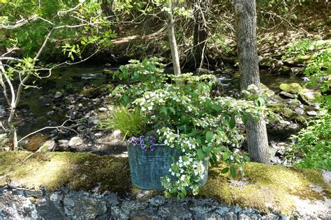 Fine Gardenings Great Garden Container Challenge Fine Gardening