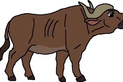 Buffalo Standing Transparent Images Png Play