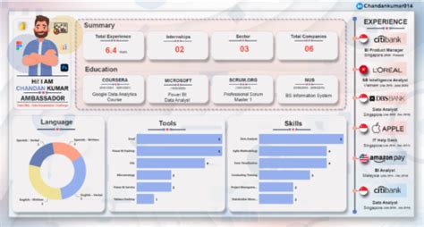 Adatvizualizációs önéletrajzok dataviz hu