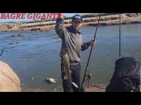 Bagre Gigante Y Carpas En Rio Salado Miren La Carnada Pesca