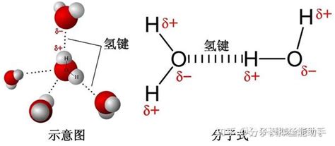 教程之lammps输出轨迹用vmd后处理氢键 知乎