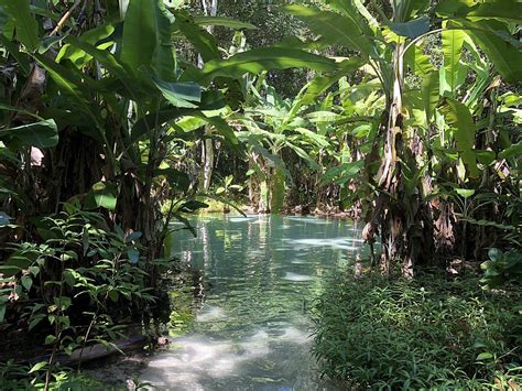 Melhores Fervedouros Do Jalap O Tocantins Viagemp Dia